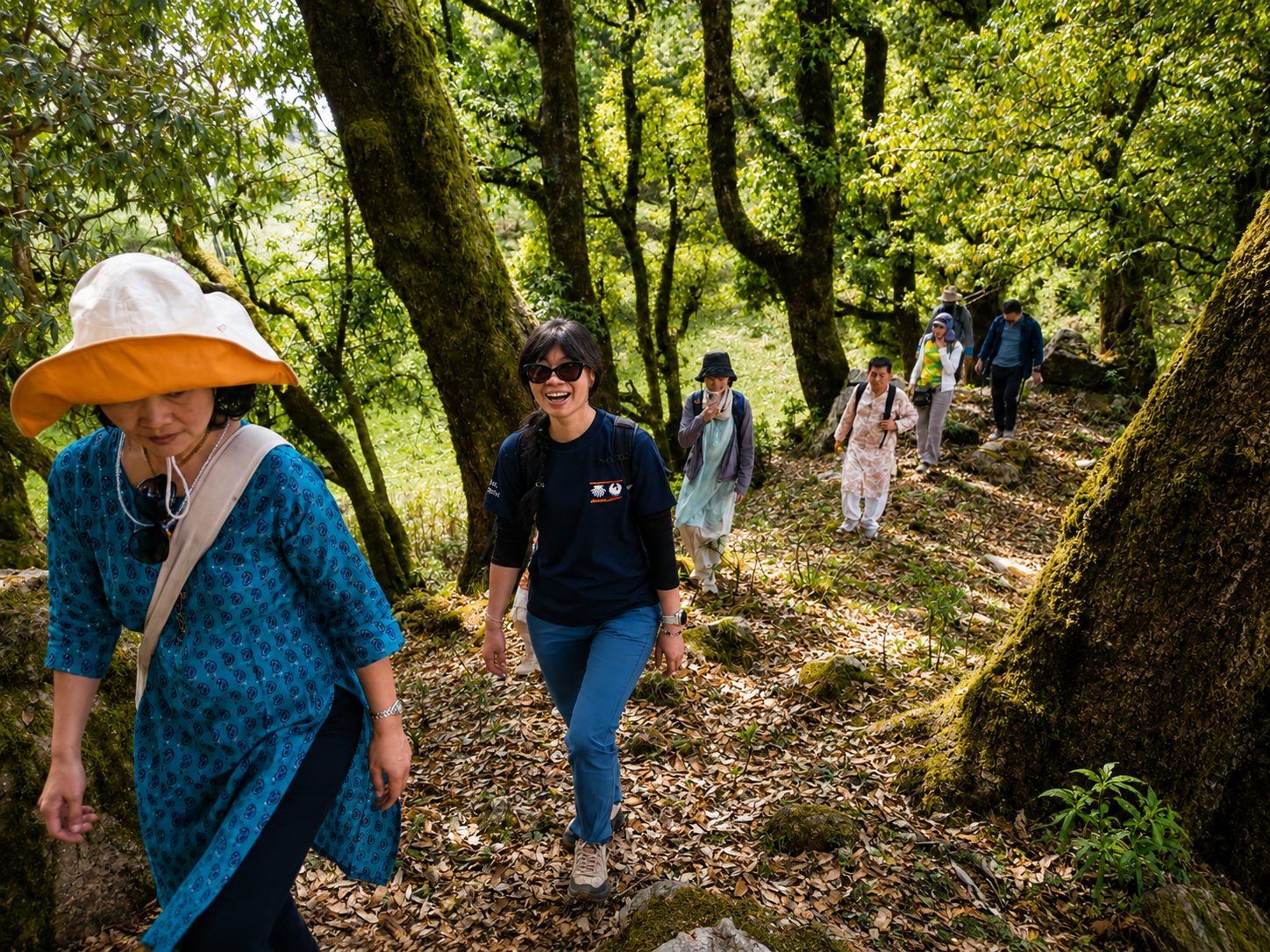 A small group hiking together along a mossy forest trail near the campus