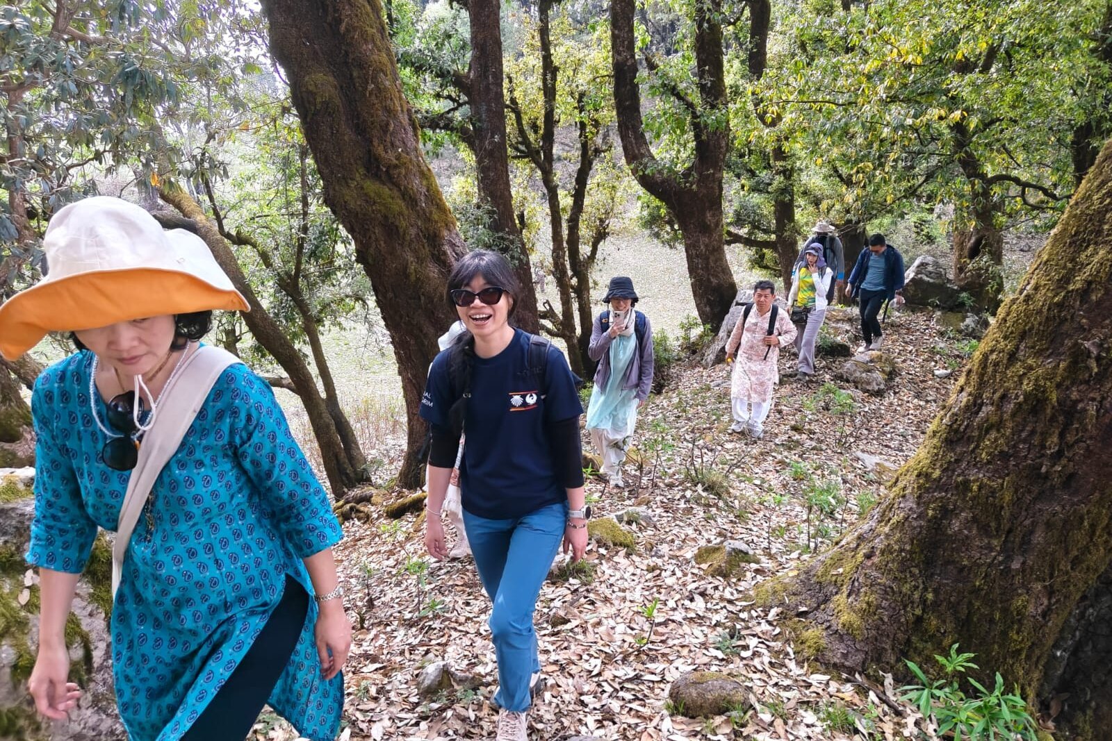 A group walking together along a forest trail near Uttarkashi