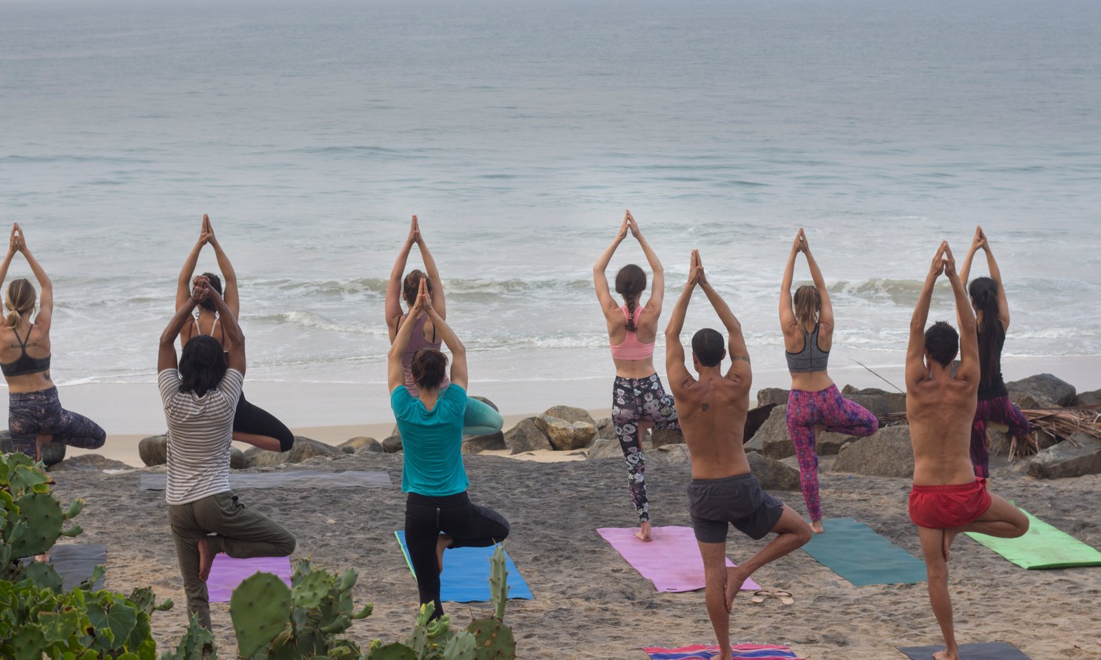 200H Yoga Teacher Training at Stri Wellness — Kerala